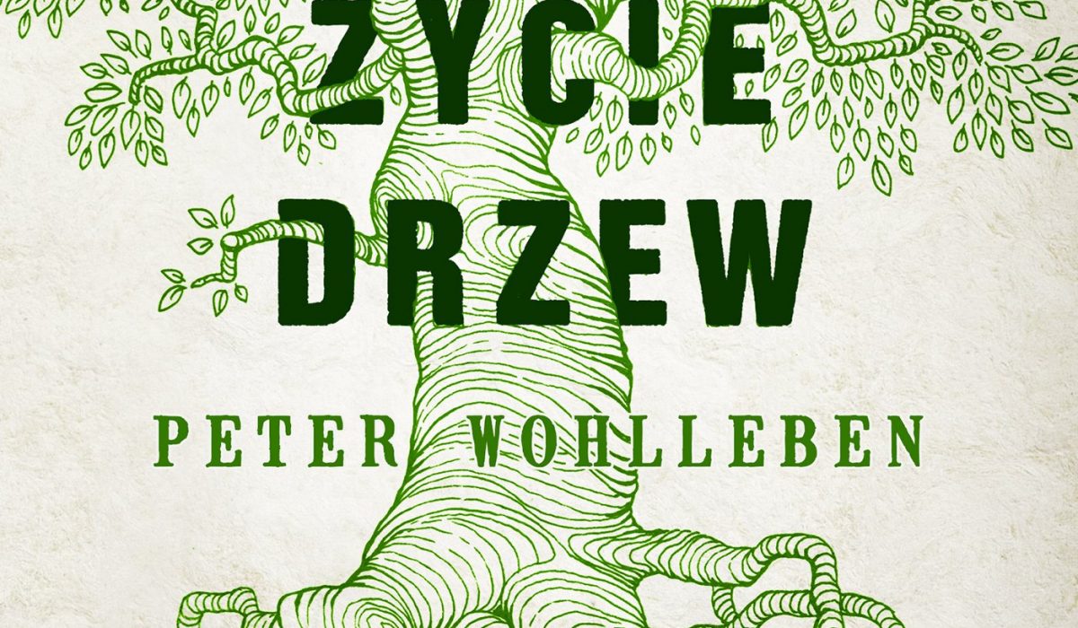 Sekretne Życie Drzew – obowiązkowa niezapomniana lekcja przyrody